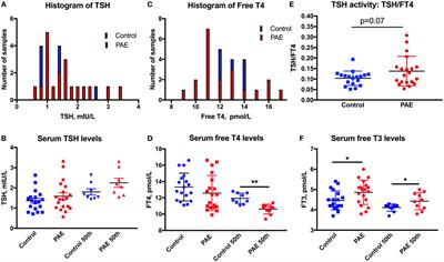 Thyroid Function in Pregnant Women With Moderate to Severe Alcohol Consumption Is Related to Infant Developmental Outcomes